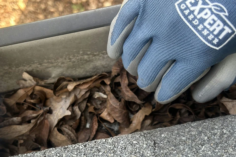 Gutter Cleaning Shavano Park TX