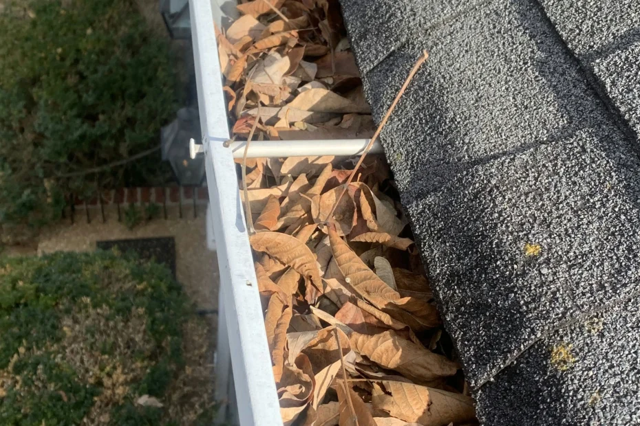 Gutter Cleaning Shavano Park TX