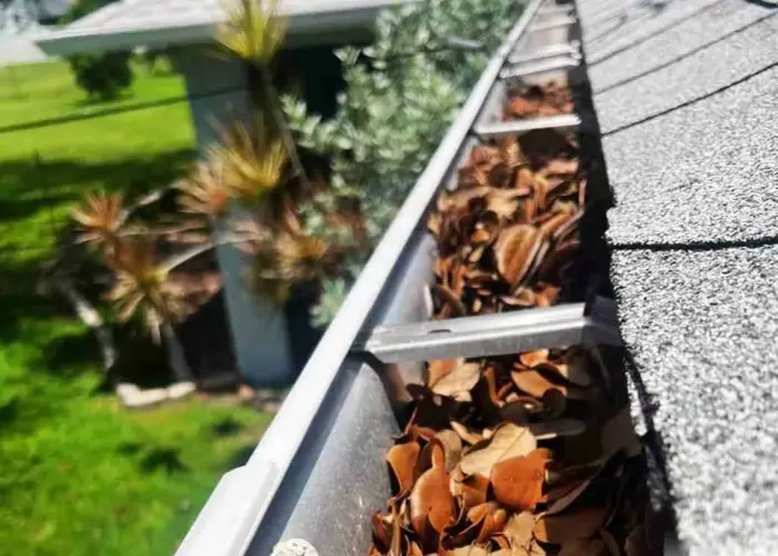 Gutter Cleaning Shavano Park TX home page